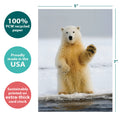 Load image into Gallery viewer, The cover of Tree-Free’s Polar Farewell card with lines demonstrating its 5x7 dimensions, along with the following text: “100% PCW recycled paper, proudly made in the USA, sustainably printed on extra-thick card stock”