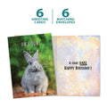 Load image into Gallery viewer, The cover and inside of Tree-Free’s Gray Bunny card, along with the following text: “6 greeting cards, 6 matching envelopes”
