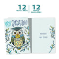 Load image into Gallery viewer, Graduation Owl 12 Pack Notecards