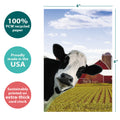 Load image into Gallery viewer, Cow Photobomb Boxed 12 Pack Notecards