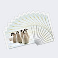 Load image into Gallery viewer, Emperor Penguin Chicks 12 Pack Notecards