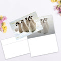 Load image into Gallery viewer, Emperor Penguin Chicks 12 Pack Notecards