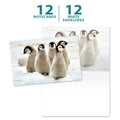 Load image into Gallery viewer, Emperor Penguin Chicks 12 Pack Notecards