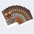 Load image into Gallery viewer, Siberian Tiger Boxed 12 Pack Notecards
