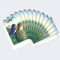 Load image into Gallery viewer, Morning Bluebirds 12 Pack Notecards