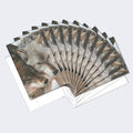 Load image into Gallery viewer, Wolf Pair Boxed 12 Pack Notecards