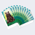 Load image into Gallery viewer, Peaceful Bear 12 Pack Notecards