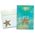 Load image into Gallery viewer, The cover of Tree-Free's Not All Stars Belong card, along with its matching envelope.