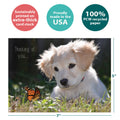 Load image into Gallery viewer, The cover of Tree-Free’s Butterfly Thoughts card with lines demonstrating its 5x7 dimensions, along with the following text: “100% PCW recycled paper, proudly made in the USA, sustainably printed on extra-thick card stock”