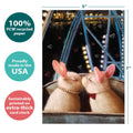 Load image into Gallery viewer, The cover of Tree-Free’s Love Bunnies card with lines demonstrating its 5x7 dimensions, along with the following text: “100% PCW recycled paper, proudly made in the USA, sustainably printed on extra-thick card stock”