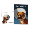 Load image into Gallery viewer, The cover of Tree-Free's Cone of Shame card, along with its matching envelope.