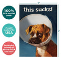 Load image into Gallery viewer, The cover of Tree-Free’s Cone of Shame card with lines demonstrating its 5x7 dimensions, along with the following text: “100% PCW recycled paper, proudly made in the USA, sustainably printed on extra-thick card stock”