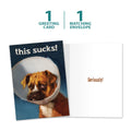 Load image into Gallery viewer, The cover and inside of Tree-Free’s Cone of Shame card, along with the following text: “1 greeting card, 1 matching envelope”