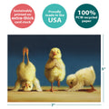 Load image into Gallery viewer, The cover of Tree-Free’s Yoga Chicks card with lines demonstrating its 5x7 dimensions, along with the following text: “100% PCW recycled paper, proudly made in the USA, sustainably printed on extra-thick card stock”