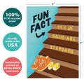 Load image into Gallery viewer, The cover of Tree-Free’s Stepdads Fun Fact card with lines demonstrating its 5x7 dimensions, along with the following text: “100% PCW recycled paper, proudly made in the USA, sustainably printed on extra-thick card stock”