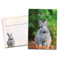 Load image into Gallery viewer, The cover of Tree-Free's Gray Bunny card, along with its matching envelope.