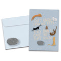Load image into Gallery viewer, The cover of Tree-Free's Cats Know card, along with its matching envelope.
