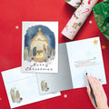 Load image into Gallery viewer, Nativity Miracle