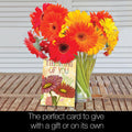 Load image into Gallery viewer, Spread Sunshine 4x6 Blank Notecard Assortment