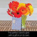 Load image into Gallery viewer, Congrats For Every Occasion 4x6 Blank Notecard Assortment