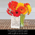 Load image into Gallery viewer, Bird Themed Sympathy 4x6 Blank Notecard Assortment