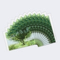 Load image into Gallery viewer, Sacred Trees Sympathy 4 12 Pack