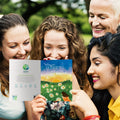 Load image into Gallery viewer, Lifestyle image(s) featuring Tree-Free’s Sunset Wish card
