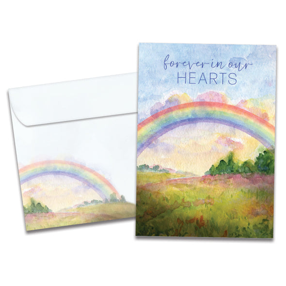 Cover of Rainbow Bridge Pet Sympathy card (featuring script and serif text above artwork of a rainbow over a field) and its matching envelope