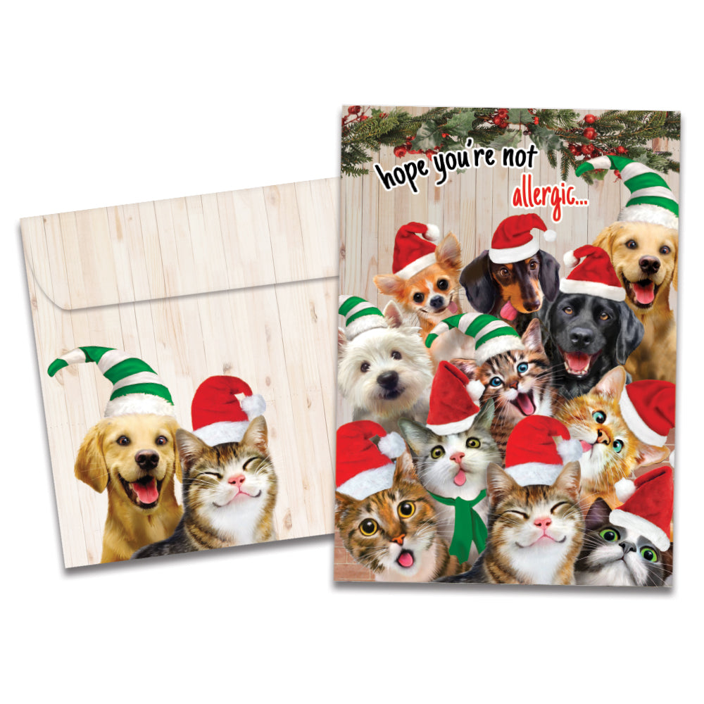 Selfie Pet Christmas 10 ct Christmas Greeting Card Set
