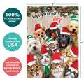 Load image into Gallery viewer, Selfie Pet Christmas 10 ct Christmas Greeting Card Set
