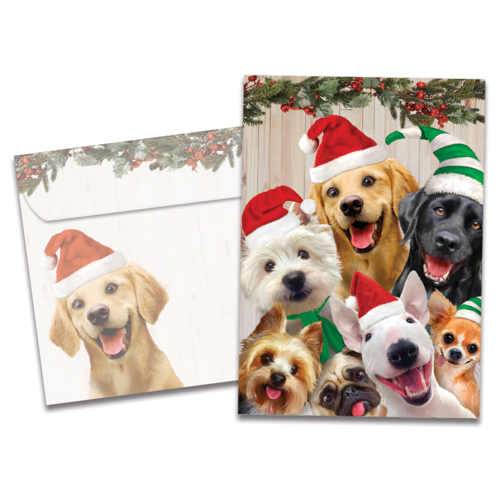Selfie Dog Christmas 10 ct Christmas Greeting Card Set