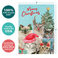 Load image into Gallery viewer, Cat Selfie Watercolor 10 ct Holiday Greeting Card Set
