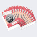 Load image into Gallery viewer, Galentine 12 Pack Notecards
