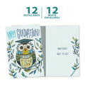 Load image into Gallery viewer, Graduation Owl 12 Pack Notecards
