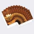 Load image into Gallery viewer, Awakening Lotus Boxed 12 Pack Notecards

