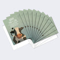 Load image into Gallery viewer, Wisdom from a Cow 12 Pack Notecards

