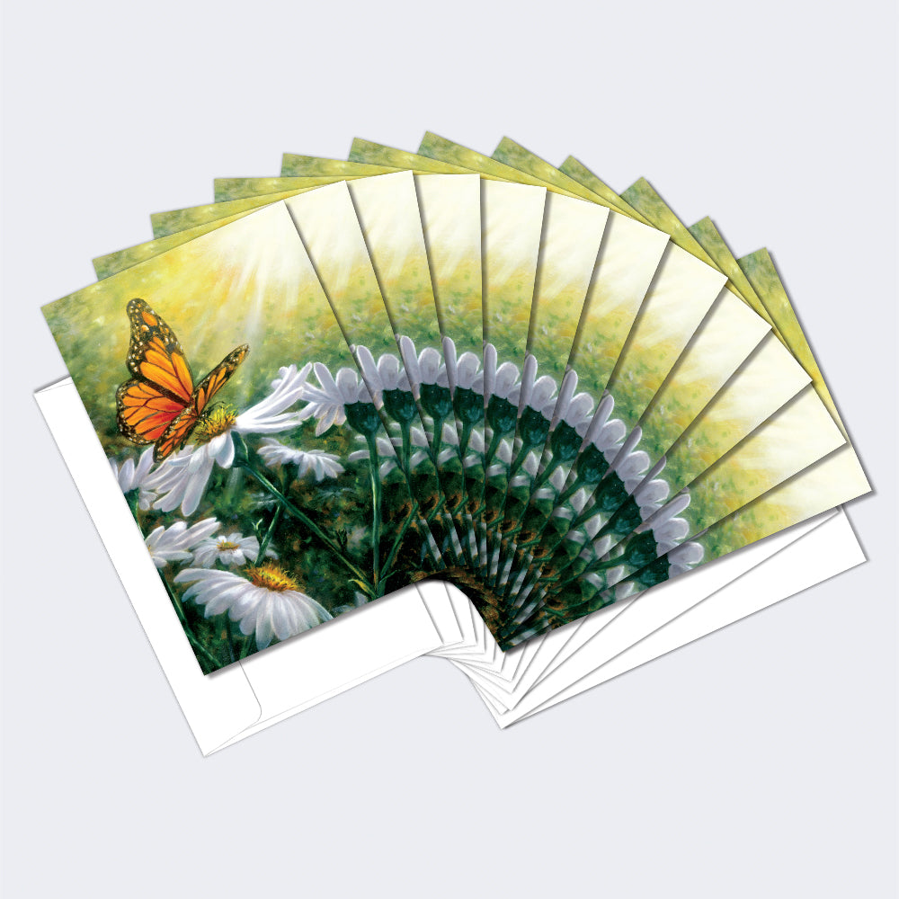 Rays of Light Boxed 12 Pack Notecards