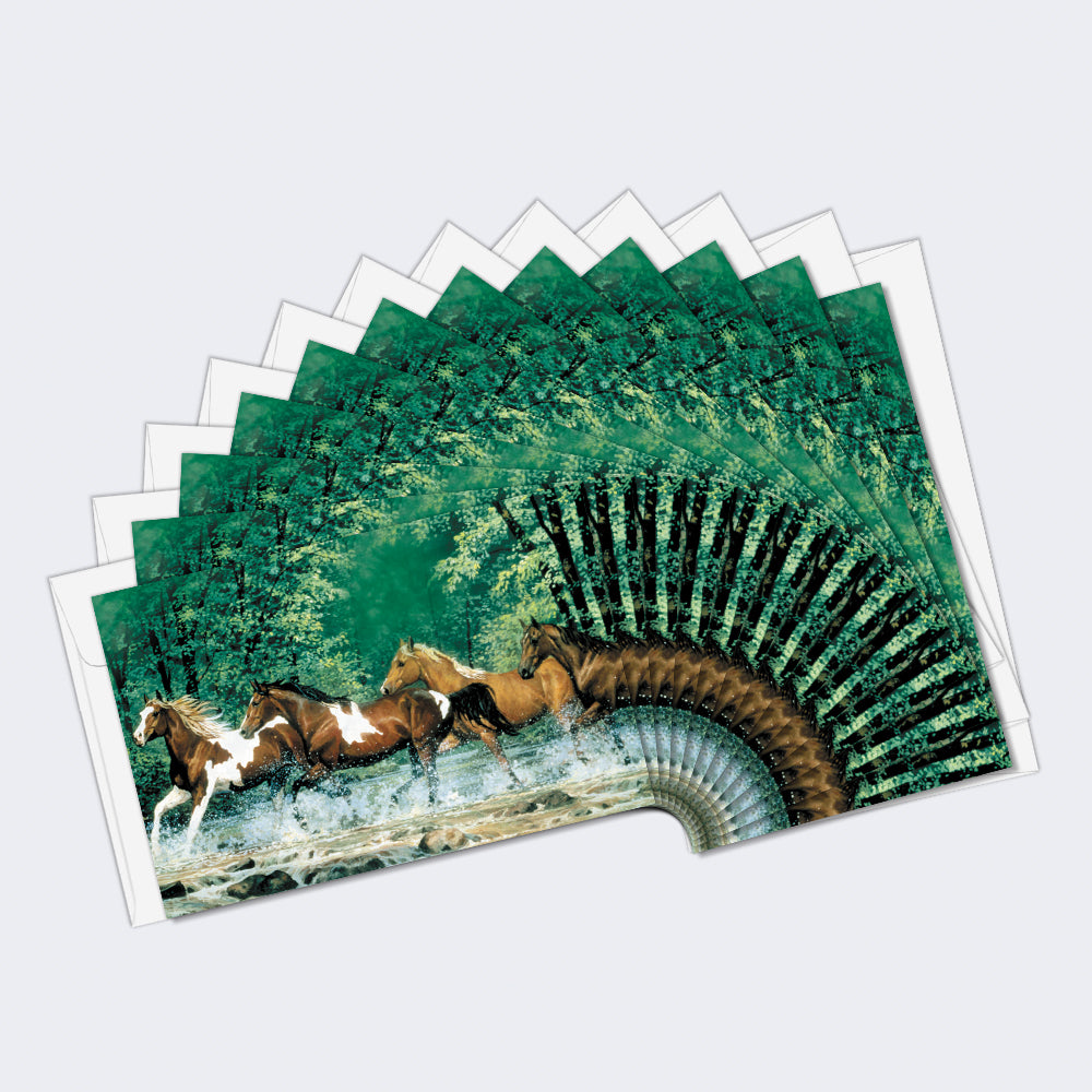 Spring Creek Run Boxed 12 Pack Notecards