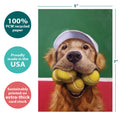 Load image into Gallery viewer, A Lot Of Balls Single Card
