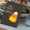 Load image into Gallery viewer, Sugar Hi GO63082
