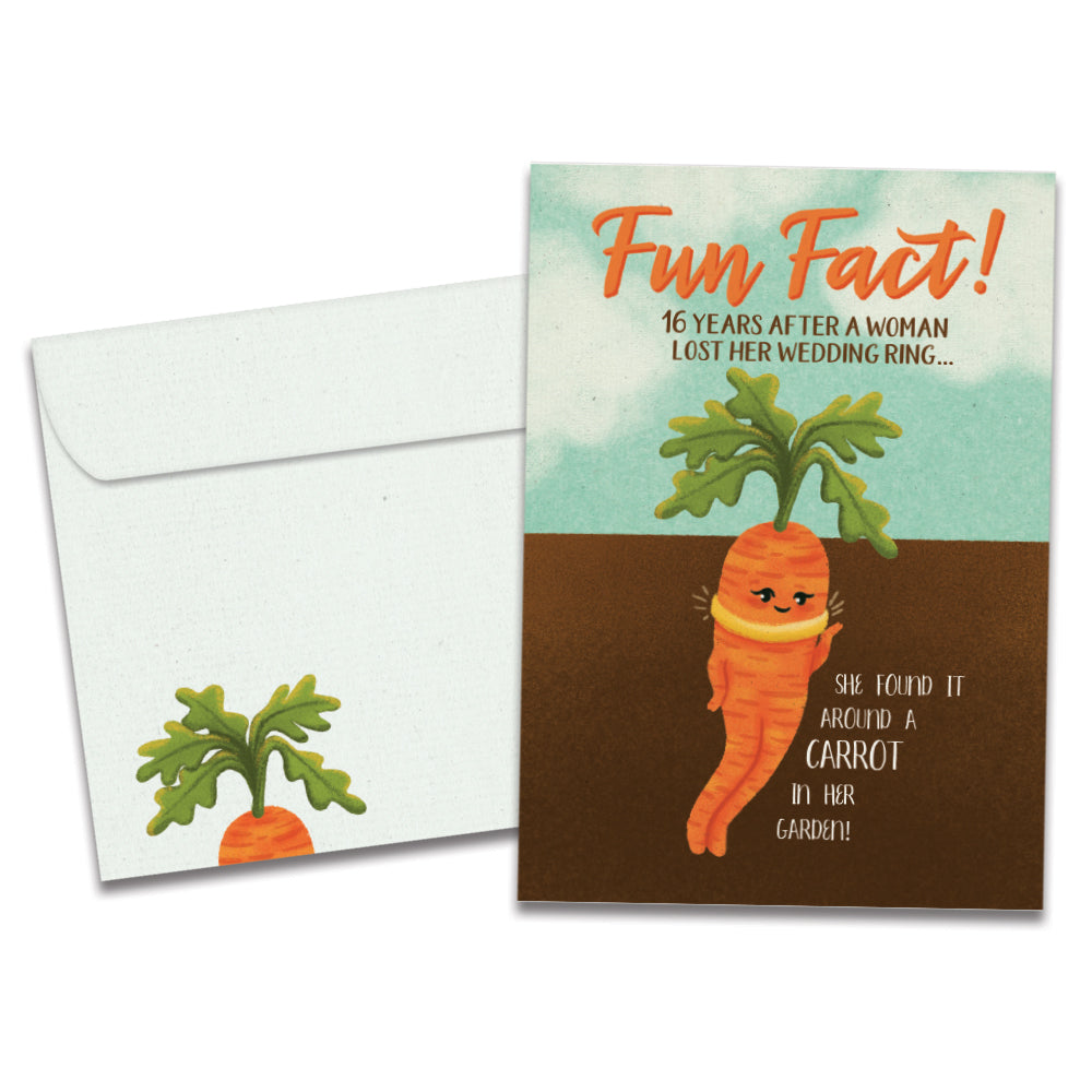 Lost And Found Fun Fact Single Card