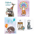 Load image into Gallery viewer, Animal Antics | 16-Count Assorted Occasion Greeting Card Bundle

