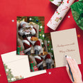 Load image into Gallery viewer, Festive Friends Variety Holiday Collection
