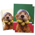 Load image into Gallery viewer, A Lot Of Balls 2 Pack
