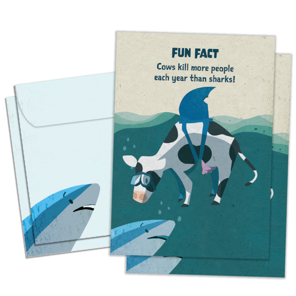 Cow Shark Fun Fact 2 Pack