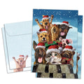 Load image into Gallery viewer, Downhill From Here 2 Card Pack
