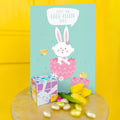 Load image into Gallery viewer, Eggs-Ellent Day 2 Pack
