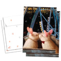 Load image into Gallery viewer, Love Bunnies  2 Pack
