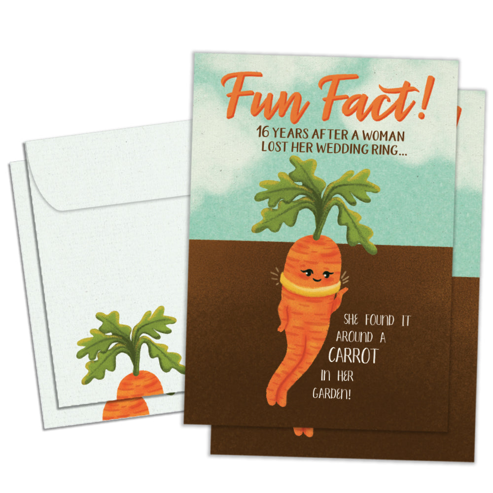 Lost And Found Fun Fact 2 Pack