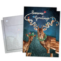 Load image into Gallery viewer, Magical Seasons Greetings 2 Pack
